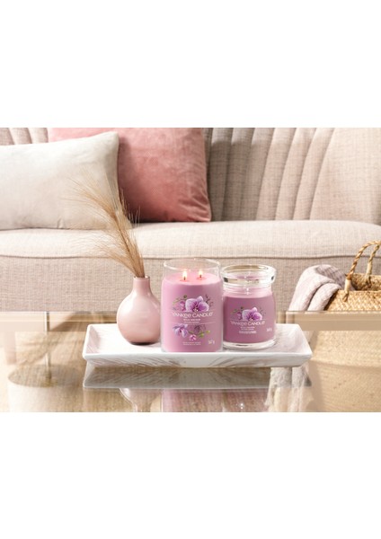 Wild Orchid Signature Orta Mum fiyatları