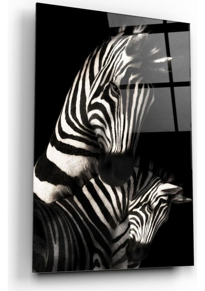 Zebra Cam Tablo | Dekoratif, Ofis, Mutfak