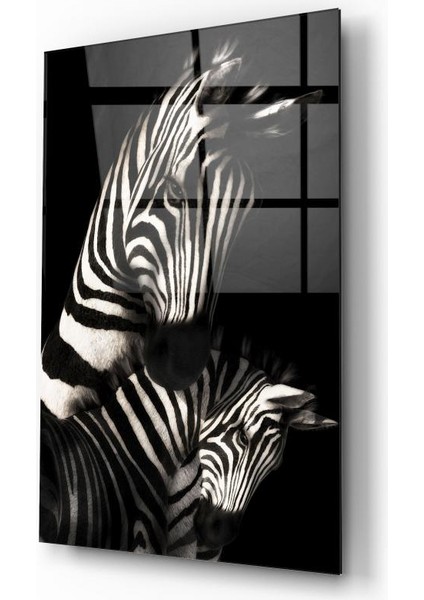 Zebra Cam Tablo | Dekoratif, Ofis, Mutfak