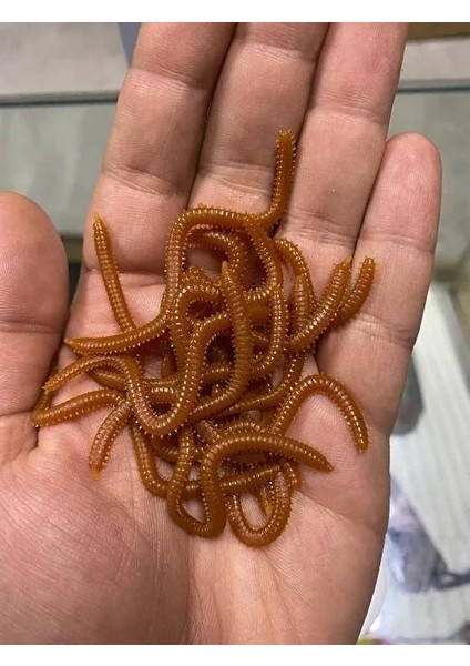 Silikon Solucan Kokulu Kalın 5 Paket