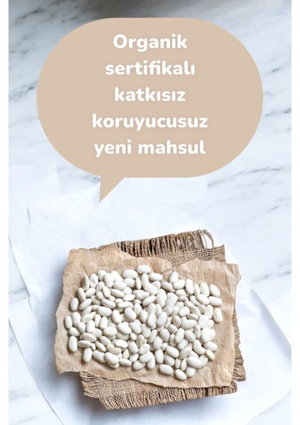 Organik Kuru Fasulye Çalı 500GR