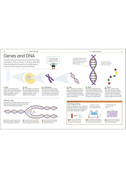 How To Be Good At Science Technology And Engineering fırsatları