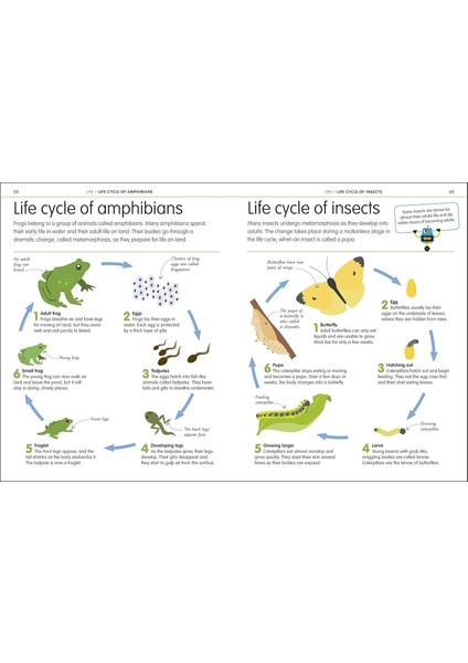 How To Be Good At Science Technology And Engineering
