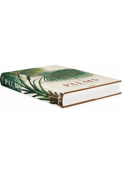 The Book of Palms / Das Buch der Palmen / Le livre des palmiers