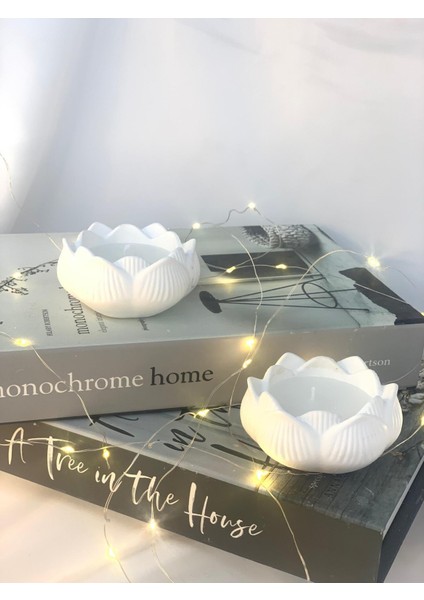 Dekoratif 2'Li Beton Lotus Soya Mum Set