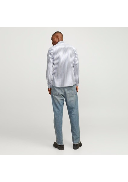 Erkek Klasik Oxford Gömlek