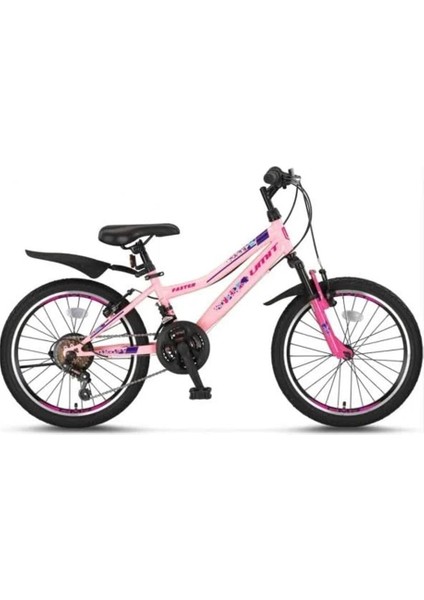 2669 Faster Kadın Dağ Bisikleti V 26 Jant 21 Vites Pembe Lila