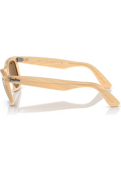 Rayban Güneş Rbg 2140 Wayfarer 1408/33 50 G