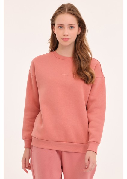 W-Delfın C Neck Sweat 4pr Gül Kurusu Kadın Sweatshirt