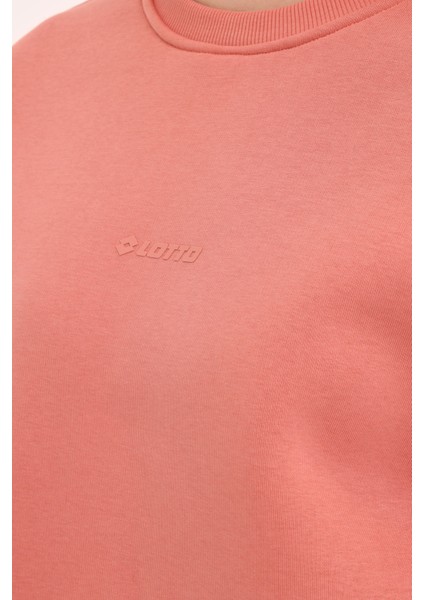 W-Delfın C Neck Sweat 4pr Gül Kurusu Kadın Sweatshirt