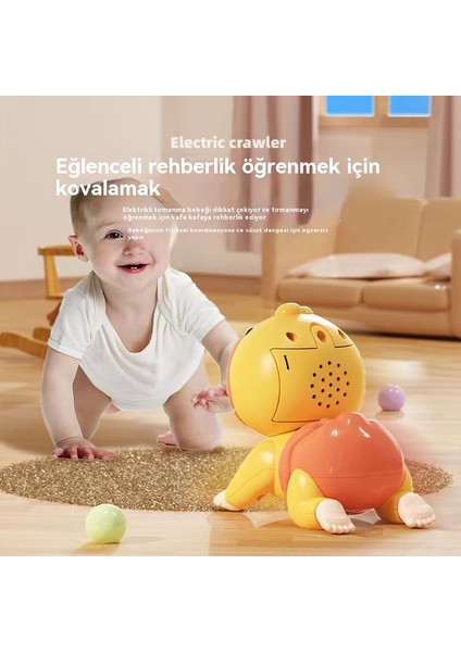Bebek Oyuncakları 0-1 Yaşındaki Çatlak Yolculuğu, Eğitimi Başlıyor, Bulmaca Ilk Eğitimi, Elektrik Oyuncaklar (Yurt Dışından)