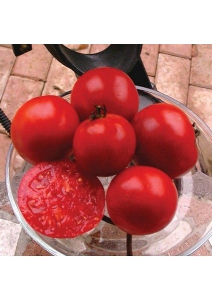 Doğal Rutgers Domates Tohumu (20 Adet)