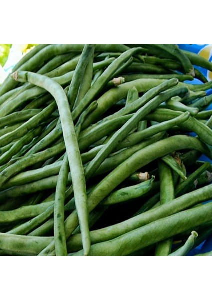 Doğal Kılçıksız Börülce Tohumu (25 Gram)
