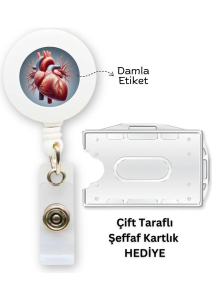 Kalp Anatomisi Damla Etiket Yoyo Yaka Kartlığı Yatay Dikey Kart Koruyucu