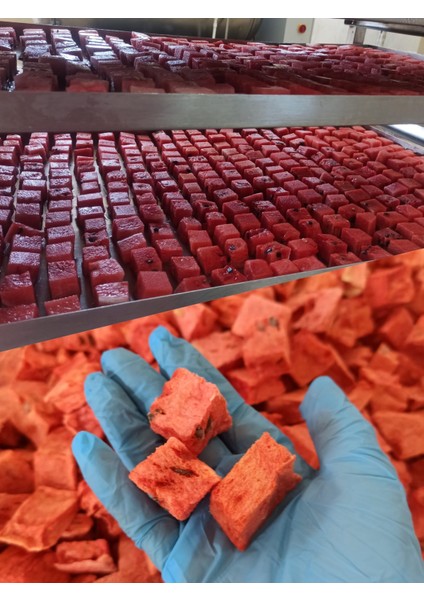 3'lü Dondurularak Kurutulmuş Karpuz Dilimleri 3x20 gr modelleri