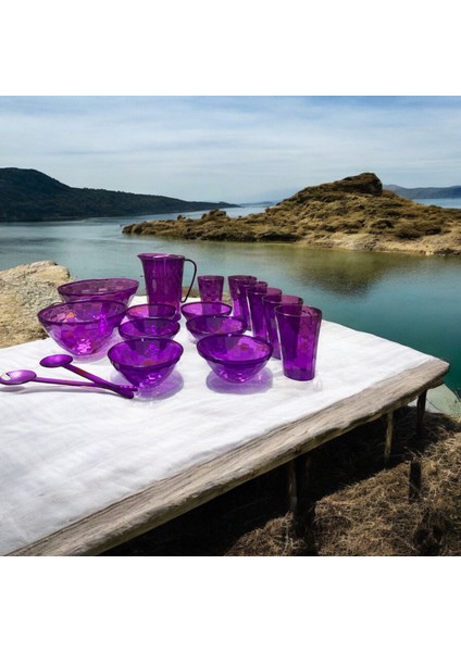 Pırlanta Mor Set 27 Parça Tam Set Saklama ve Servis Kabı Piknik Seti