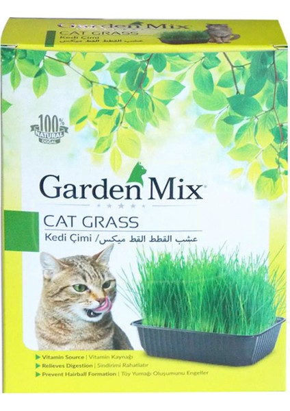 Garden Kedi Çimi Kedi Otu Sindir Im Sistemi Düzenleyici Antistress