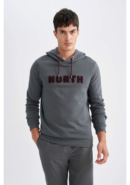 Regular Fit Kapüşonlu Baskılı Kalın Sweatshirt L5850AZ24AU