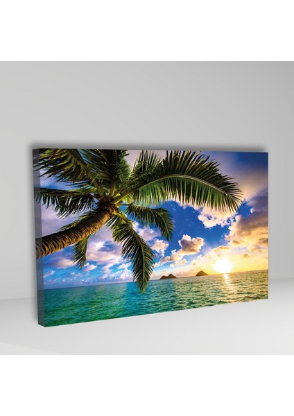Tekli Yatay Kanvas Duvar Tablosu Palmiye Deniz Ve Gökyüzü fiyatları