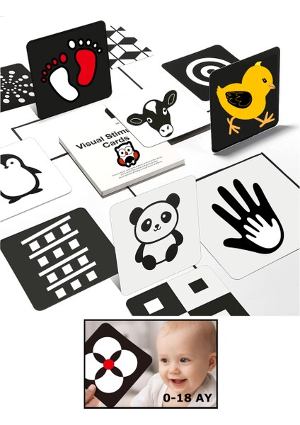 (0-18 Ay) Yenidoğan Baby Visual - Yüksek Kontrastlı Görsel Uyarımlı - Ilk Zeka Gelişim Kartları