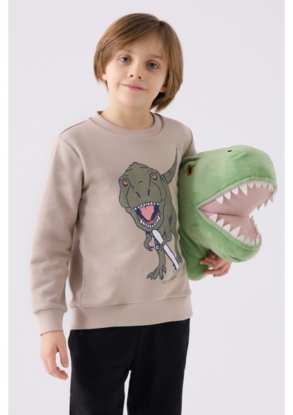 Erkek Çocuk Eşofman Takımı RP3430 Kum fiyatları