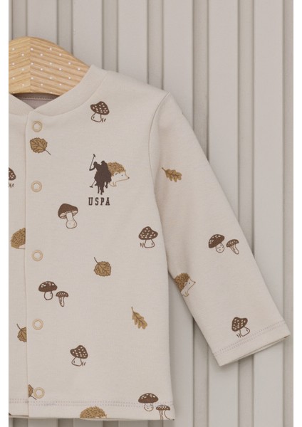 Erkek Bebek Patikli 3'lü Takım Krem fiyatları