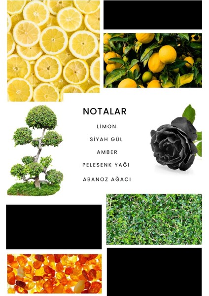 K236 Aristone Kadın Parfüm 100 ml EDP modelleri