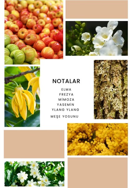 Ixora K267 Fateful Kadın Parfüm 100 ml EDP modelleri