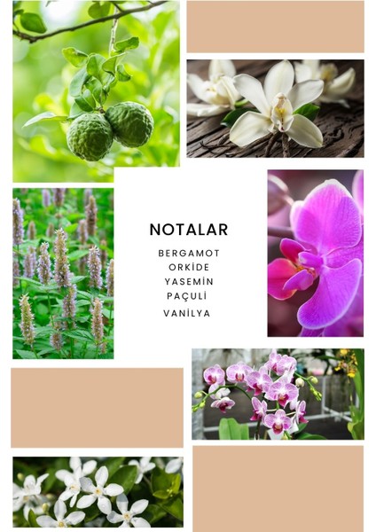 Ixora K278 Floral Kadın Parfüm 100 ml EDP fırsatları