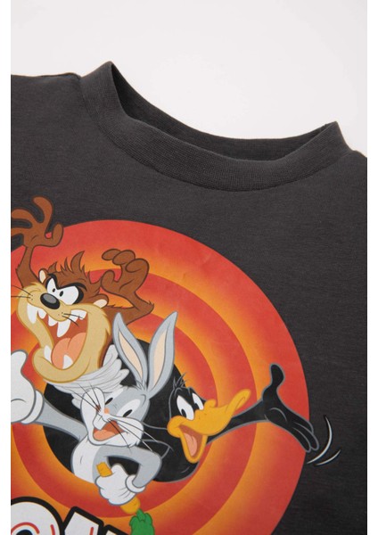 Erkek Bebek 2'li Takım Looney Tunes Penye Kısa Kollu Tişört Şort C5917A524SM