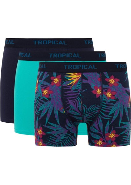 Regular Fit 3'lü Boxer B7961AX24SM