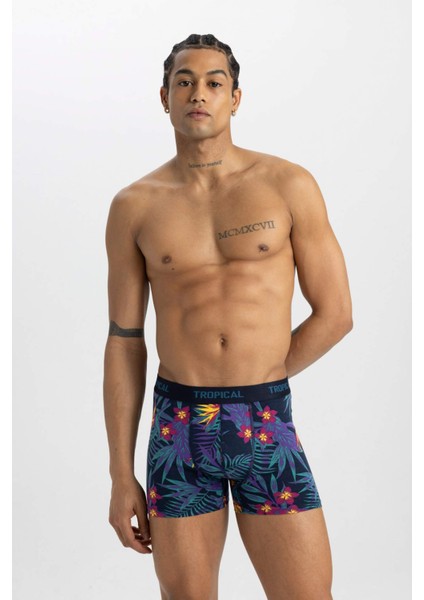 Regular Fit 3'lü Boxer B7961AX24SM