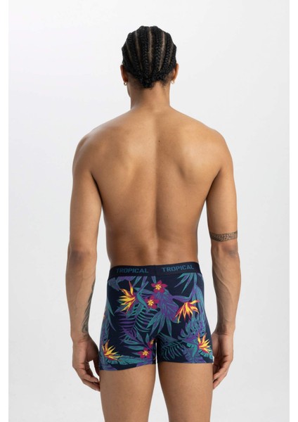 Regular Fit 3'lü Boxer B7961AX24SM