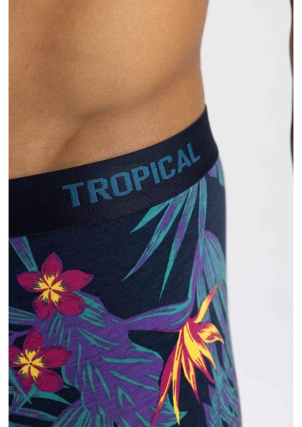Regular Fit 3'lü Boxer B7961AX24SM