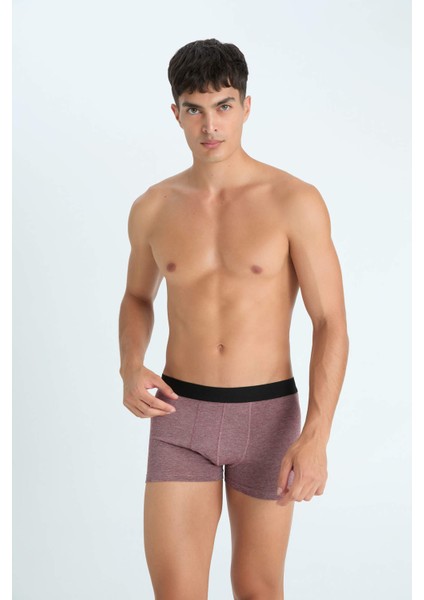 Regular Fit 3'lü Boxer C3288AX24SP