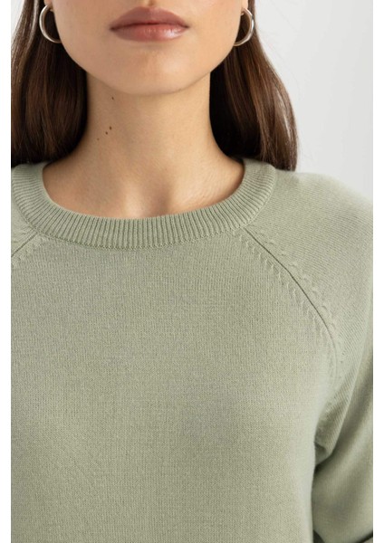 Yumuşak Dokulu Bisiklet Yaka Reglan Kol Basic Düz Triko Kazak I6913AZ24WN
