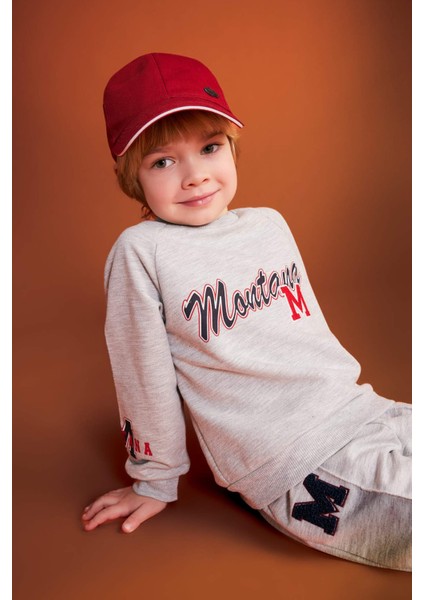 Erkek Bebek Bisiklet Yaka Baskılı İçi Yumuşak Tüylü Sweatshirt B8543A524SP