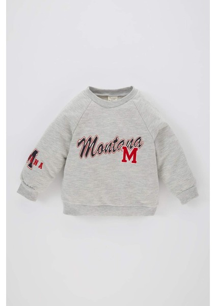 Erkek Bebek Bisiklet Yaka Baskılı İçi Yumuşak Tüylü Sweatshirt B8543A524SP