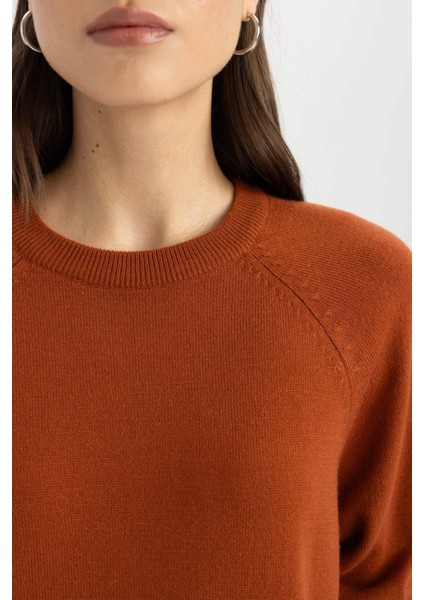 Regular Fit Yumuşak Dokulu Bisiklet Yaka Reglan Kol Basic Düz Triko Kazak I6913AZ24WN