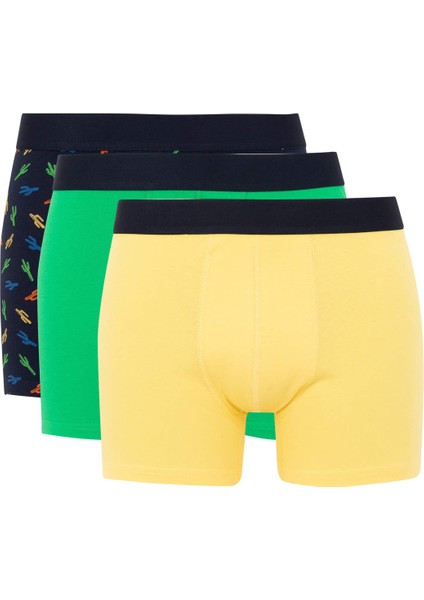 Regular Fit 3'lü Boxer B7922AX24SM