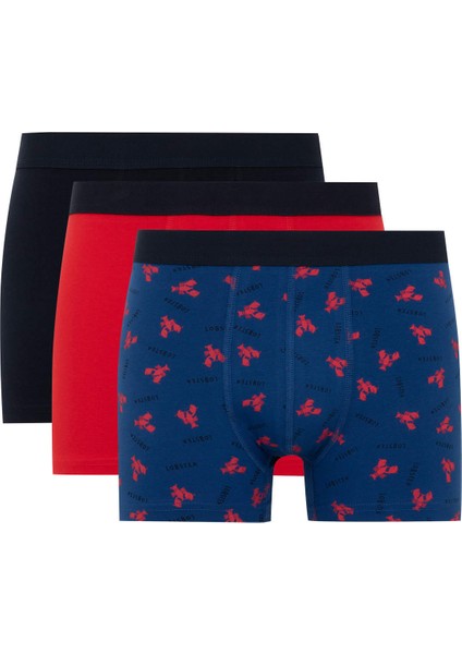 Regular Fit 3'lü Boxer C3291AX24SM