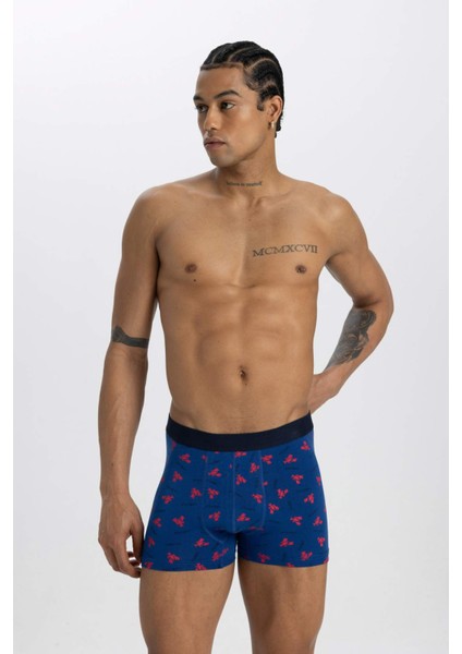 Regular Fit 3'lü Boxer C3291AX24SM