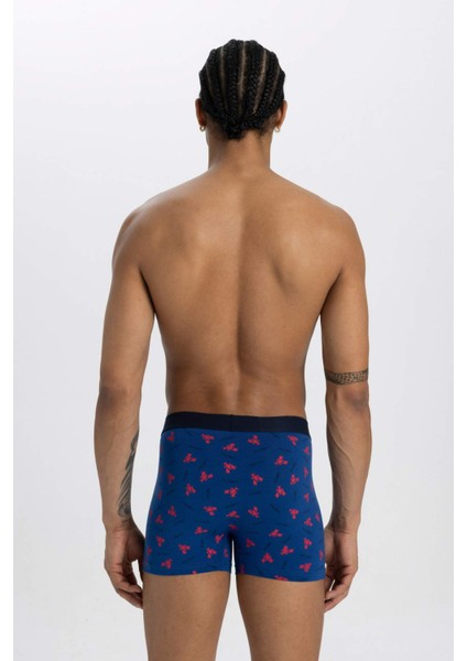 Regular Fit 3'lü Boxer C3291AX24SM