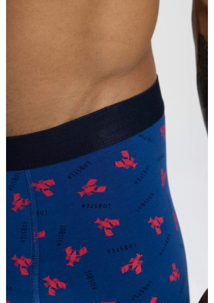 Regular Fit 3'lü Boxer C3291AX24SM