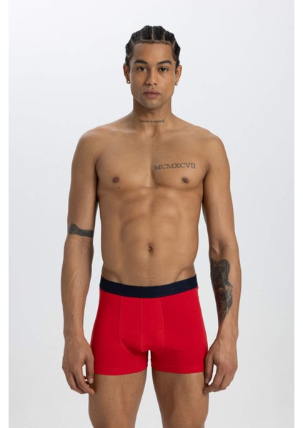 Regular Fit 3'lü Boxer C3291AX24SM