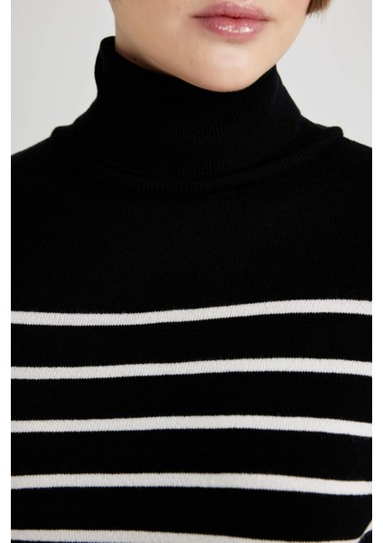 Regular Fit Çizgili Balıkçı Yaka Triko Kazak C1650AX23WN
