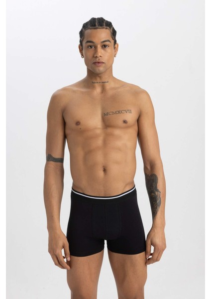 Regular Fit 3'lü Boxer A5864AX24SM
