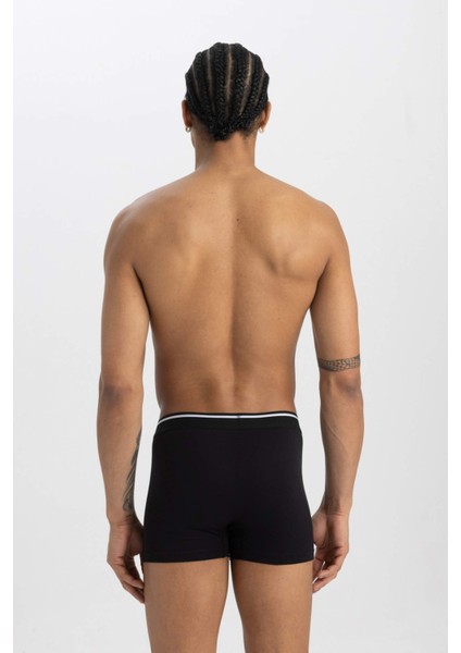 Regular Fit 3'lü Boxer A5864AX24SM