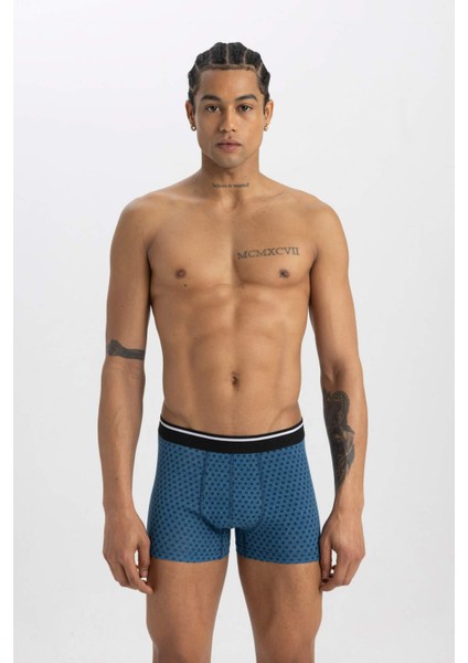 Regular Fit 3'lü Boxer A5864AX24SM