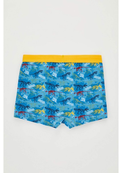 Erkek Çocuk 3'lü Boxer B4979A823AU modelleri